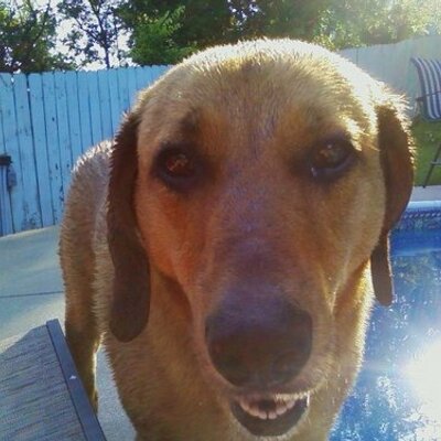 Profile Picture of Richard Eberle (@@RichEberle) on Twitter