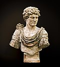 Profile Picture of Marcus Antonius Primuson Wikipedia