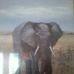 Profile Picture of Raymond Lottering (@raymond.lottering.7) on Facebook