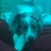 Profile Picture of Justin Andrews (@justin.andrews.52035772) on Facebook