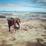 Profile Picture of Dennis Gates (@tunkanext) on Instagram