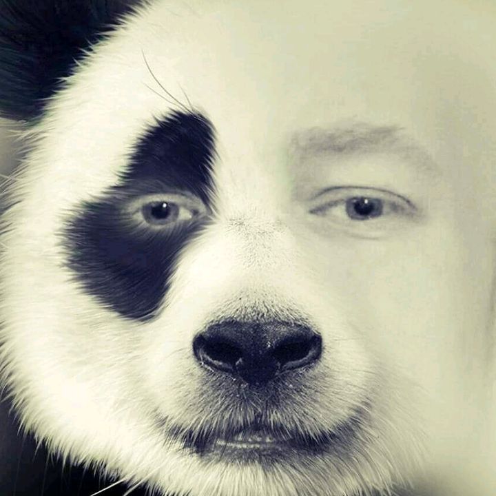Profile Picture of Corey Edwards (@@sickandtwisted84) on Tiktok