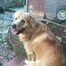 Profile Picture of Patrick Springman (@patrick.springman.1) on Facebook