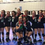 Profile Picture of Jillian Erickson (@jillian.volleyball) on Instagram