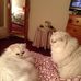 Profile Picture of Maureen Keady (@maureen.keady.52) on Facebook