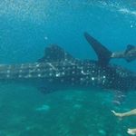 Profile Picture of marc (@marc_fornite) on Instagram