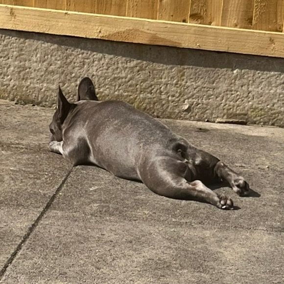 Profile Picture of Dawn Hammel (@@dawnhammel1) on Tiktok