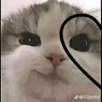 Profile Picture of Marquez Atlai (@marielenaramirezlazaro.marielenaramirezlazaro) on Facebook