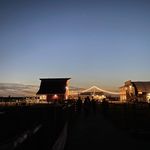 Profile Picture of Ami Phillips (@amiphillips1) on Instagram