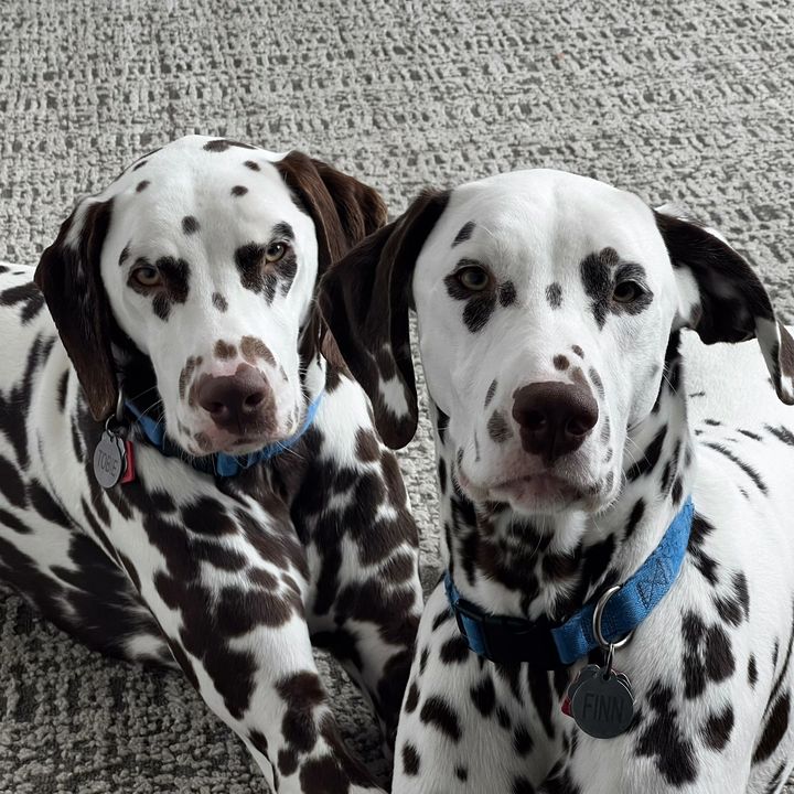 Profile Picture of davidpullen23 (@davidpullen23) on Tiktok