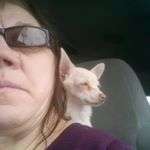 Profile Picture of K.m.wampler (@kimmyhsmom) on Instagram