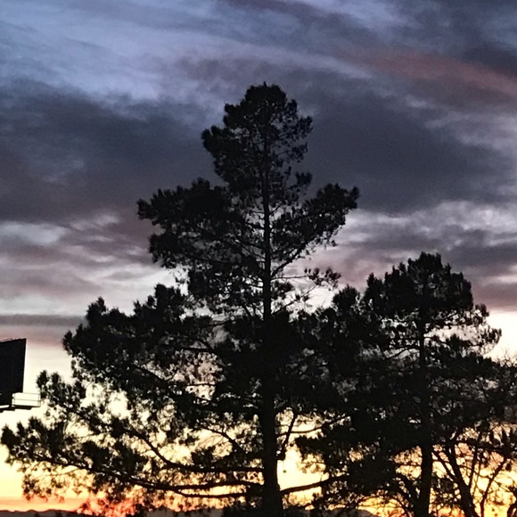 Profile Picture of Alexa Ortiz (@alexao51) on Poshmark