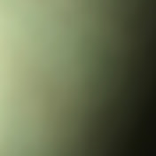 Profile Picture of Paul Magee (@paulmagee8040) on Youtube