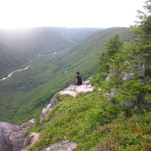 Profile Picture of Julia De Paz🌳 (@julialeonpaz) on Twitter