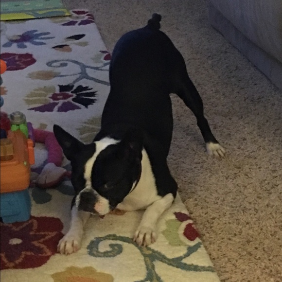 Profile Picture of Tina Petrilak (@tinabeana422) on Poshmark