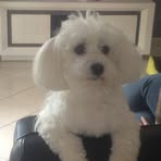 Profile Picture of Daniel Huvelle (@Daniel-Huvelle) on Facebook