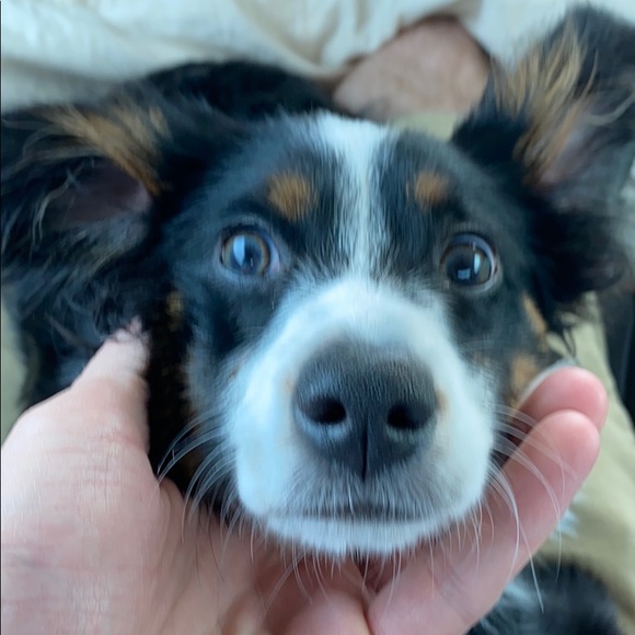 Profile Picture of Ian Moen (@ianmoen) on Poshmark