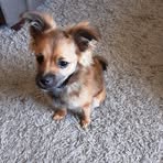 Profile Picture of Clemma Campbell (@clemma.campbell.3) on Facebook