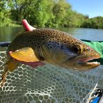 Profile Picture of Jason McReynolds (@flyingsoho) on Instagram