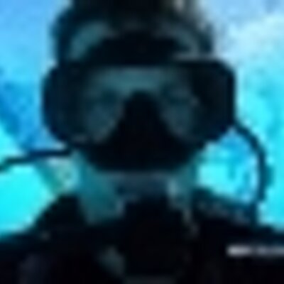 Profile Picture of Brett Levin (@Bretthediver2) on Twitter