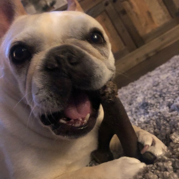 Profile Picture of Michaelene Buzas (@michaelenebuzas) on Poshmark