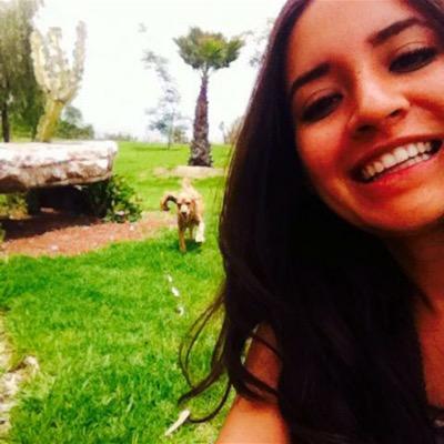 Profile Picture of Laura Villareal (@VillarealTere) on Twitter