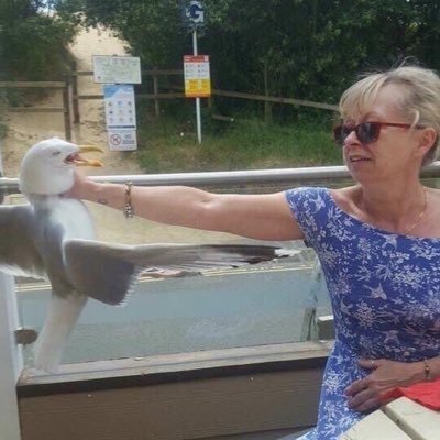 Profile Picture of Brendan Swan (@SwanBrendan) on Twitter