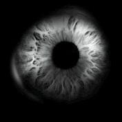 Profile Picture of Gilberto Perez M (@gilp1melendez) on Twitter