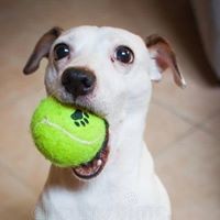 Profile Picture of Chris Juneau (@chris-juneau-4) on Quora