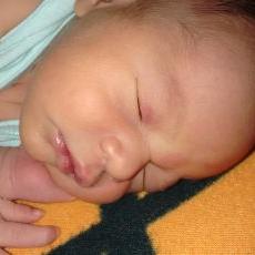 Profile Picture of Miguel Comas (@miguelcomas1) on Twitter