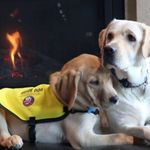 Profile Picture of Jimmy Tubbs (@jimmy.tubbs.77) on Instagram