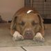Profile Picture of Jason Kummer (@jason.kummer.7) on Facebook