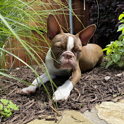 Profile Picture of Madison Link (@madisonlink2473) on Youtube