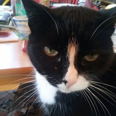 Profile Picture of Stefan Ludwig (@Ludwig63Ludwig) on Twitter