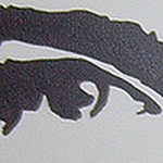 Profile Picture of thomashyland9 (@thomashyland9) on Flickr