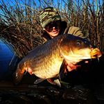 Profile Picture of Darren Feeney (@darren_feeney_sa_carping) on Instagram