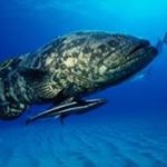 Profile Picture of Mike O'Bryant (@obryantmike) on Instagram