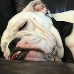 Profile Picture of Joshua Tadeo Mangum (@josh.mangumhotmail.com_) on Instagram