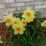 Profile Picture of Terry Cogdill (@tcogdill56) on Instagram