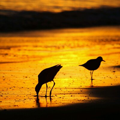 Profile Picture of John Marlatt (@marlattjohn) on Twitter