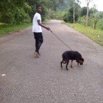 Profile Picture of Frank Rands (@spiffchinonso) on Instagram