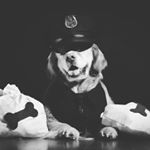 Profile Picture of Mateusz Spodarek (@mateusz_spodarek) on Instagram