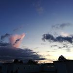 Profile Picture of 😪😷 (@robert.shen_) on Instagram