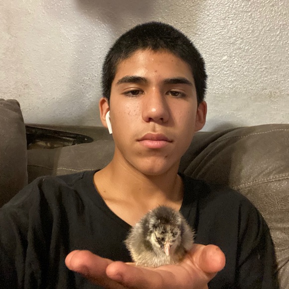 Profile Picture of Juan sanchez Sanchez (@juans535) on Poshmark