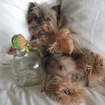 Profile Picture of PHYLLIS (@locke_5027__thaddeus) on Instagram