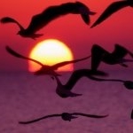 Profile Picture of Laney And Lucille (@bffs000) on Instagram