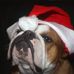 Profile Picture of Kerstin Keller (@kerstin.keller.52) on Facebook
