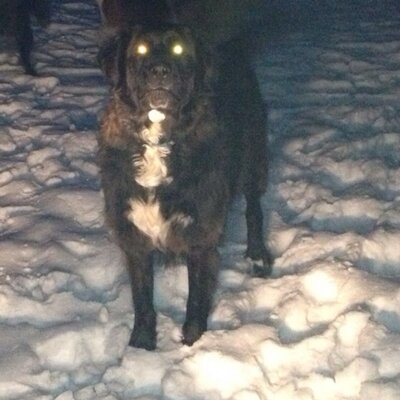 Profile Picture of Kevin Brawley (@caddykevin) on Twitter