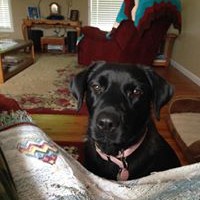 Profile Picture of Jim Cunningham (@jim-cunningham-36) on Quora