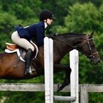 Easter┃Savannah┃Forty - Instagram Profile Picture of Easter┃Savannah┃Forty (@oaksbyequestrian) on Instagram